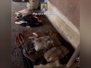 prins în flagrant (4)