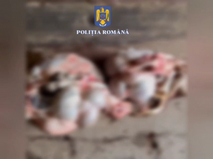 prins în flagrant (5)