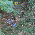 prins în flagrant (6)