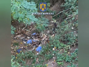 prins în flagrant (6)