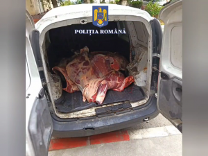 prins în flagrant (7)