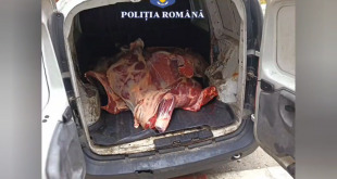 prins în flagrant (7)