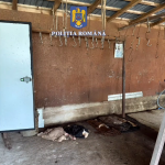 prins în flagrant (8)