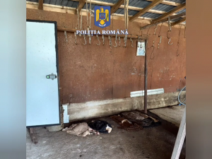 prins în flagrant (8)