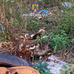 prins în flagrant (9)