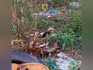 prins în flagrant (9)