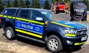 protecția animalelor (2)