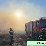 Evenimente arges (3)