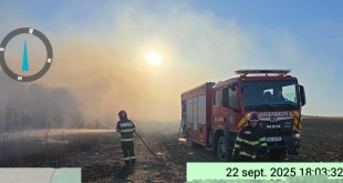 Evenimente arges (3)