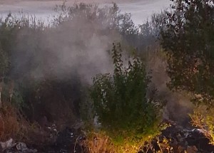 Evenimente arges (4)