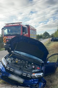 Evenimente arges (5)