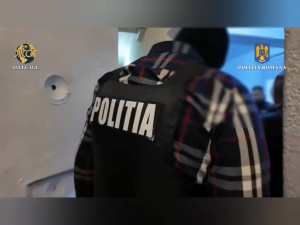 Grup infracțional organizat, destructurat (12)