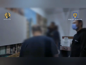 Grup infracțional organizat, destructurat (13)