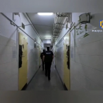 Grup infracțional organizat, destructurat (14)