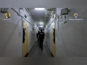 Grup infracțional organizat, destructurat (14)