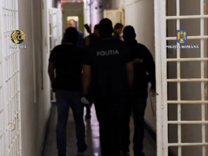 Grup infracțional organizat, destructurat (5)