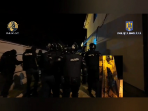 Grup infracțional organizat, destructurat (8)