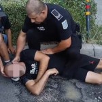Intervenție promptă a Poliției Locale Pitești (2)