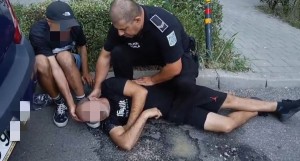 Intervenție promptă a Poliției Locale Pitești (2)