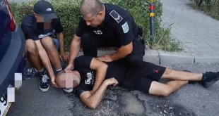 Intervenție promptă a Poliției Locale Pitești (2)