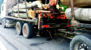 Transporta-material-lemnos-documente-legale