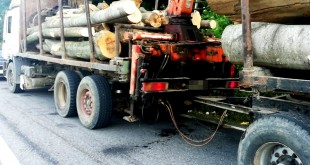 Transporta-material-lemnos-documente-legale