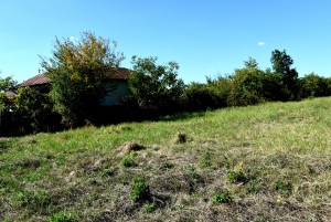 casa de vanzare mosoaia (1)