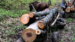 furt-material-lemnos