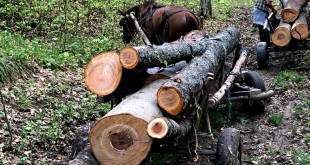 furt-material-lemnos