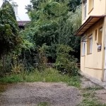 gradina ilegala la bloc (2)