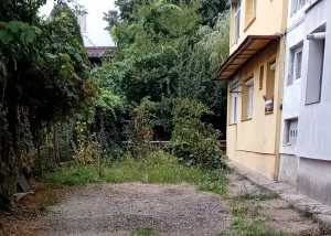 gradina ilegala la bloc (2)