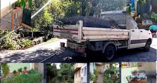 gradina ilegala la bloc (2)