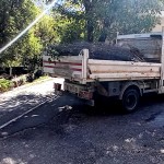 gradina ilegala la bloc (3)