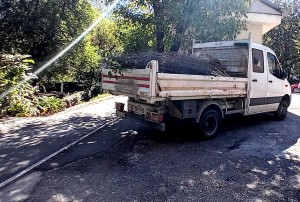 gradina ilegala la bloc (3)