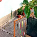 gradina ilegala la bloc (5)