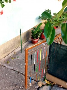 gradina ilegala la bloc (5)