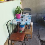 gradina ilegala la bloc (6)