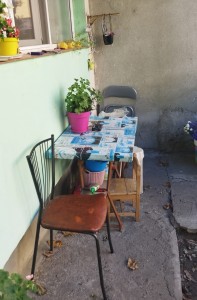 gradina ilegala la bloc (6)