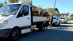 material lemnos fara documente (1)