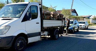 material lemnos fara documente (1)