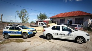 material lemnos fara documente (2)