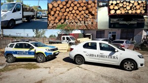 material lemnos fara documente (2)