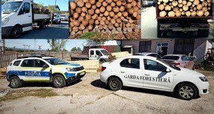 material lemnos fara documente (2)