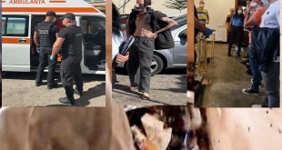 salubrizare la un apartament (3)