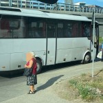 siguranța rutieră și transportul public (1)