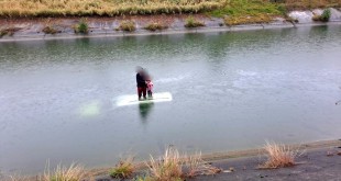 Autoturism in apa Băiculești (2)