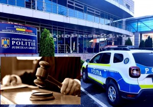 Cercetări finalizate