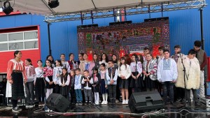 Icoana făcătoare de minuni Altărița (3)