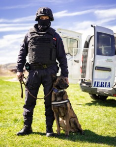 Misiuni executate IJJ Arges