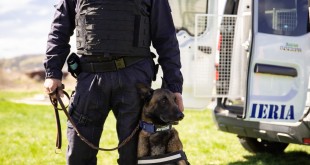 Misiuni executate IJJ Arges